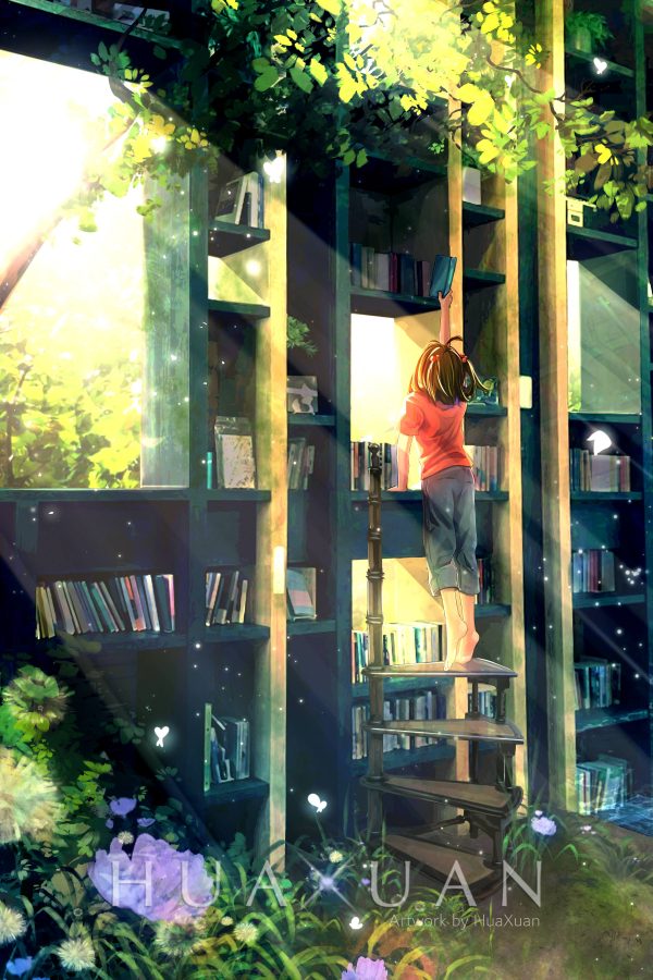 Wonder